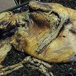 The Gruesome Story Of The Lindow Bog Bodies
